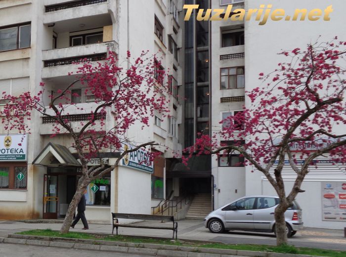 Tuzlarije