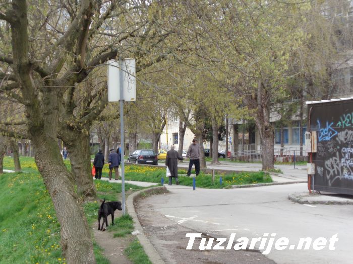 Tuzlarije