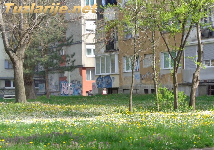 Tuzlarije