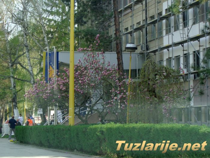 Tuzlarije