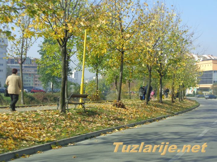Tuzlarije