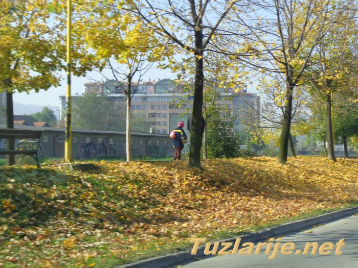 Tuzlarije