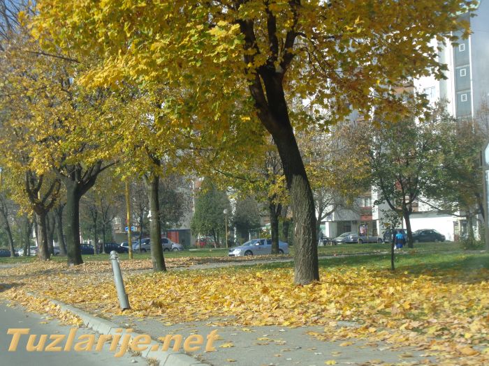 Tuzlarije