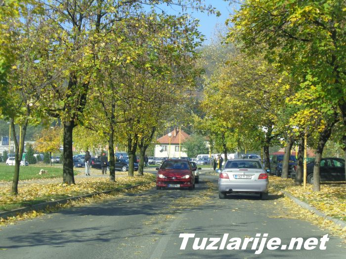 Tuzlarije