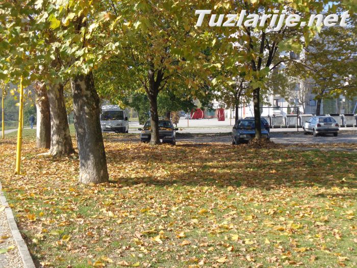 Tuzlarije