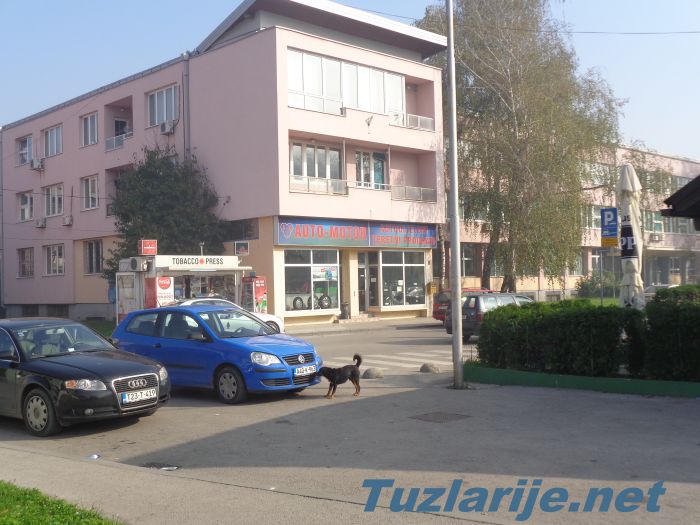 Tuzlarije