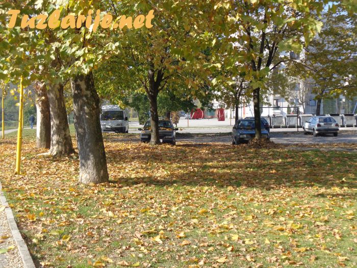 Tuzlarije