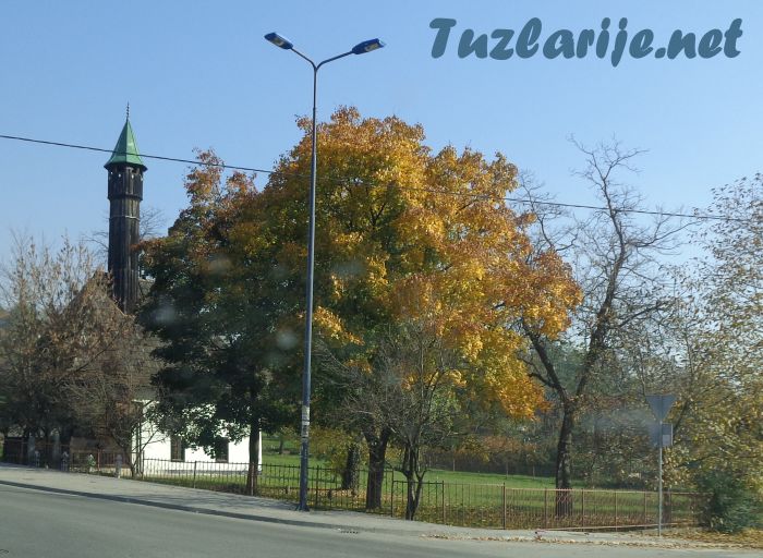 Tuzlarije