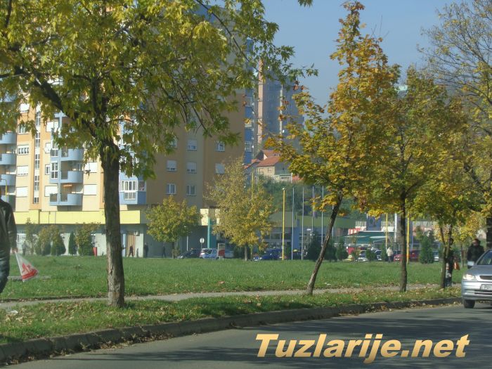 Tuzlarije