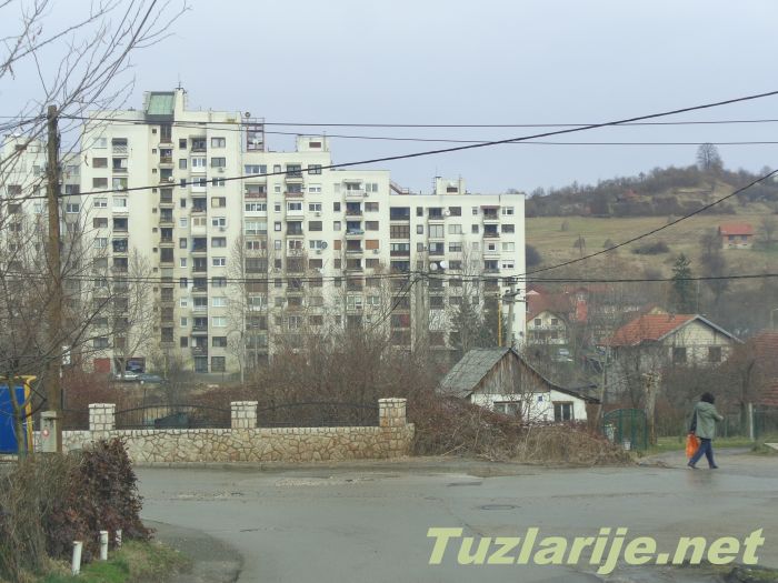 Tuzlarije