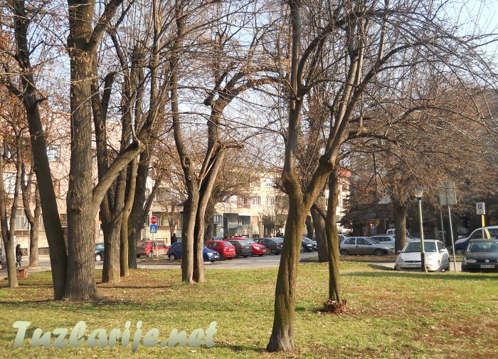Tuzlarije