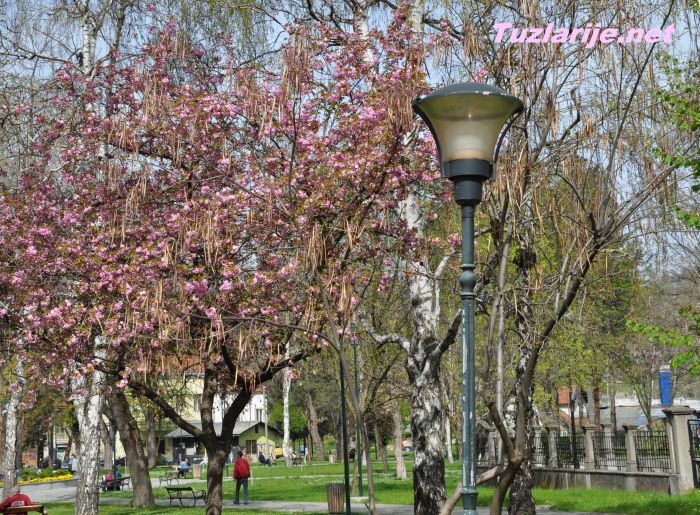 Tuzlarije