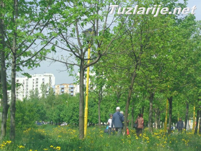 Tuzlarije
