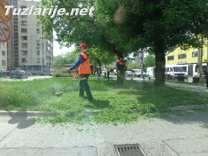 Tuzlarije