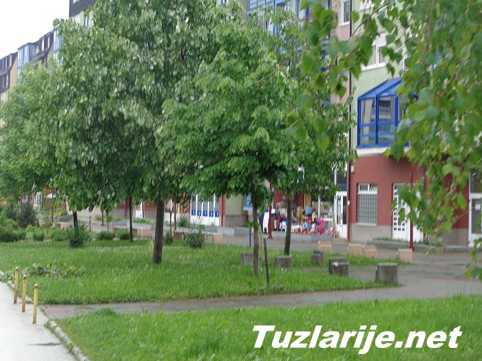 Tuzlarije