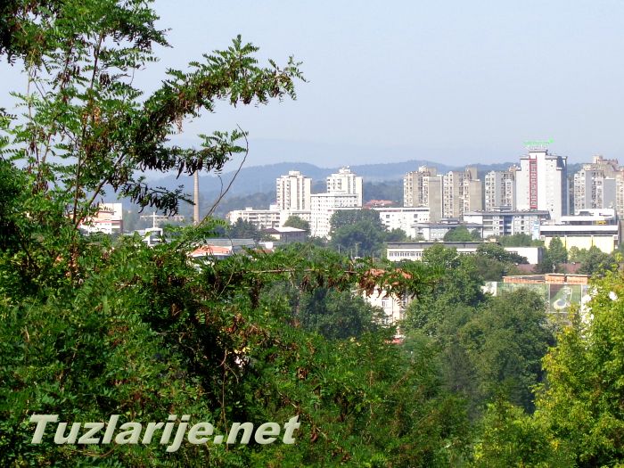 Tuzlarije