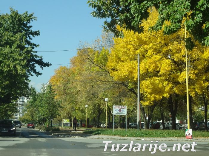 Tuzlarije