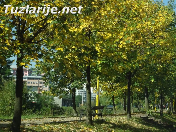 Tuzlarije