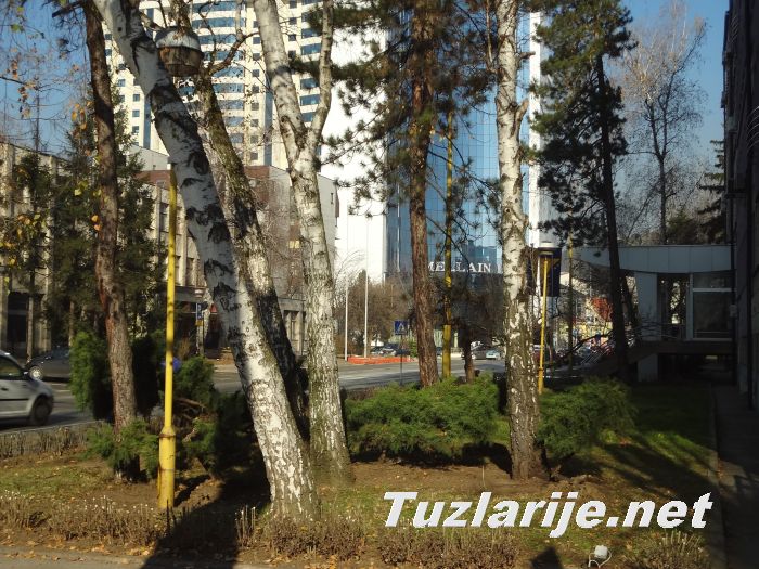 Tuzlarije
