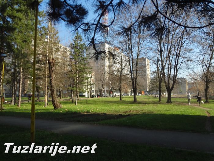 Tuzlarije