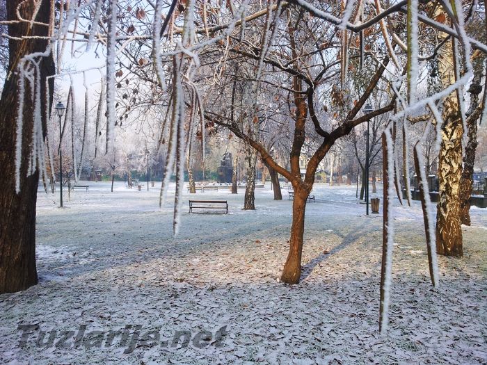 Tuzlarije