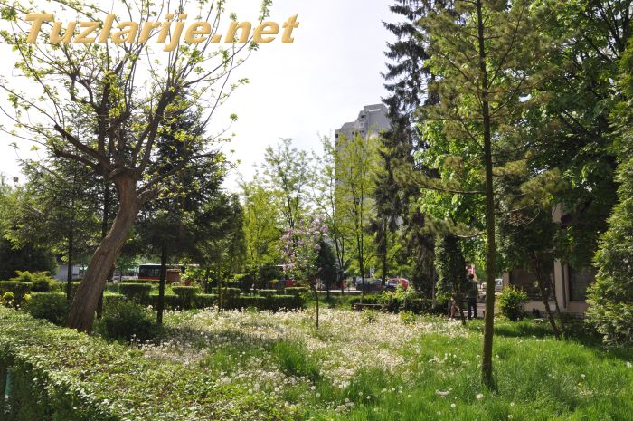 Tuzlarije