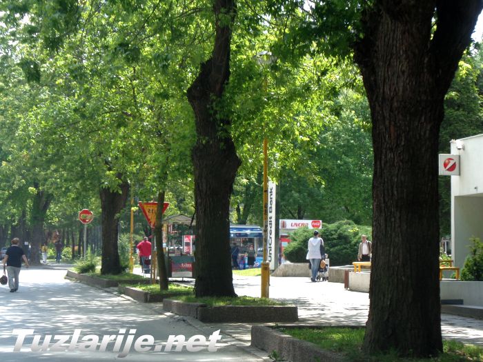 Tuzlarije