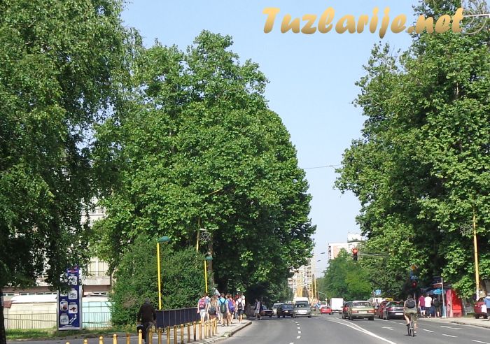 Tuzlarije