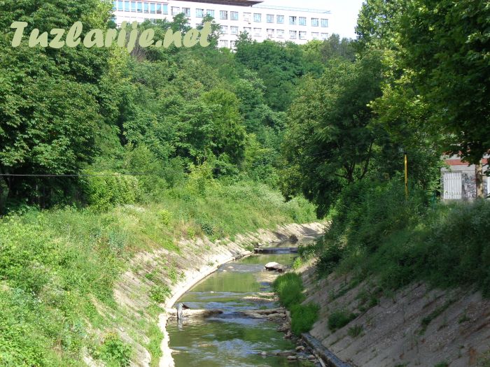 Tuzlarije