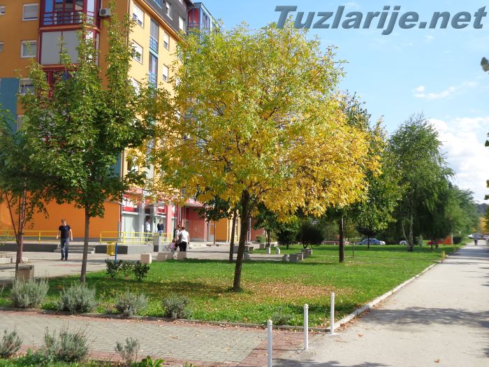 Tuzlarije