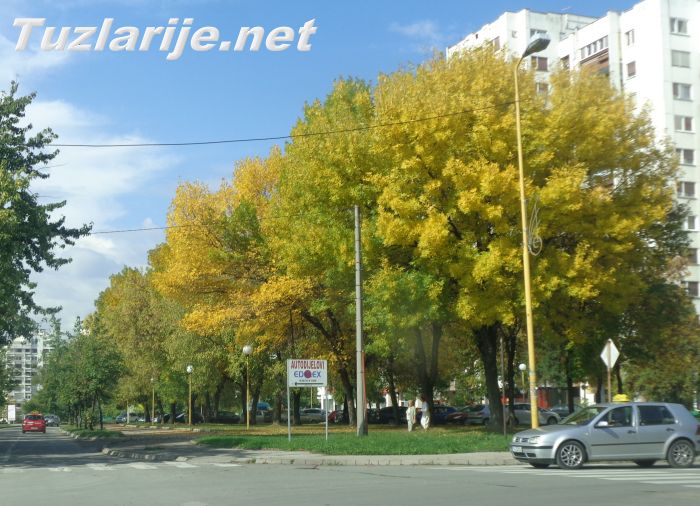 Tuzlarije
