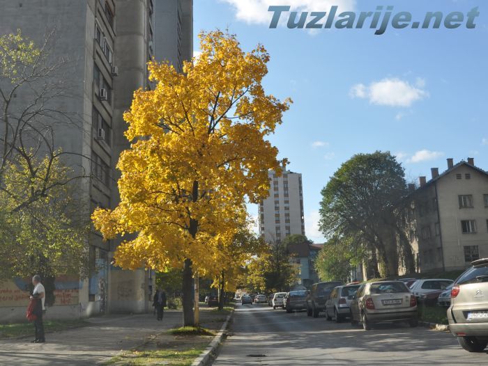 Tuzlarije