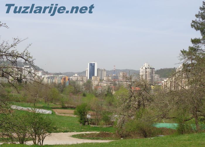 Tuzlarije