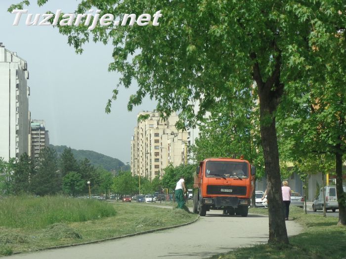 Tuzlarije