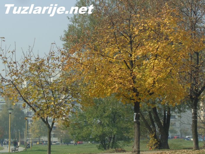 Tuzlarije