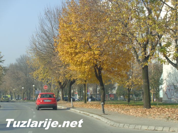 Tuzlarije