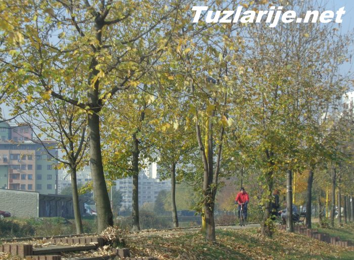Tuzlarije