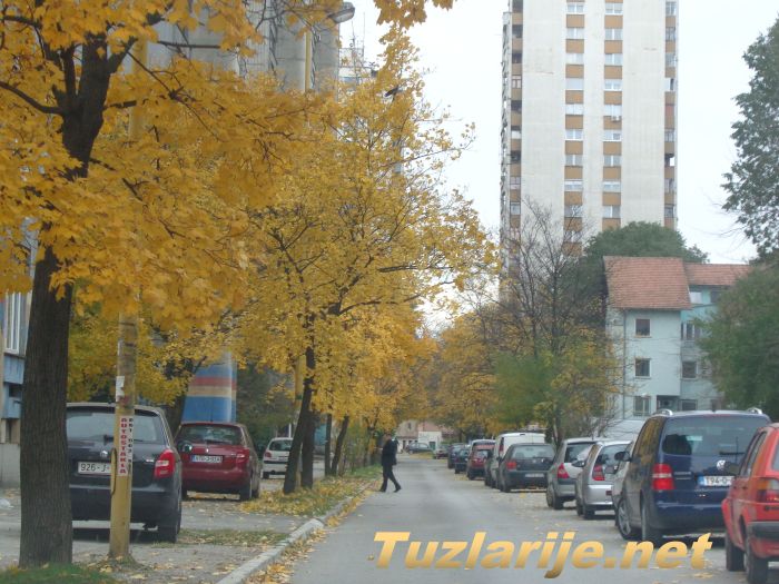 Tuzlarije