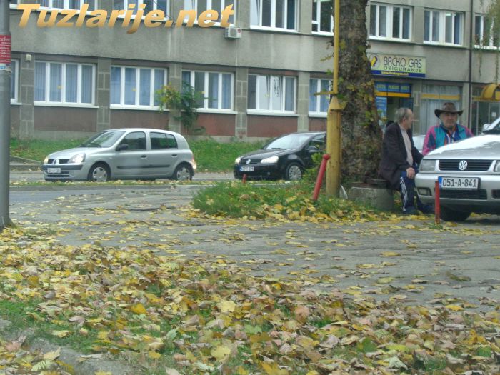 Tuzlarije