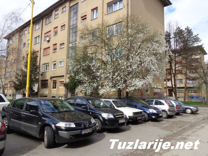 Tuzlarije