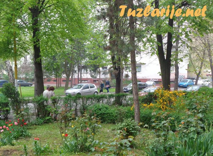 Tuzlarije