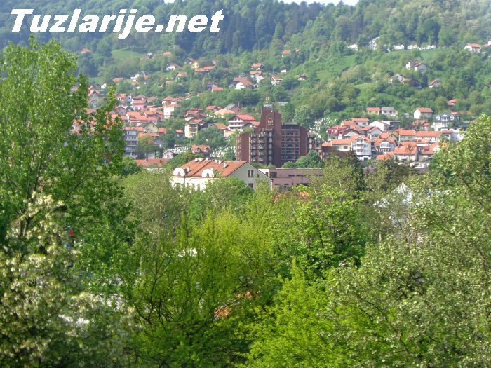 Tuzlarije