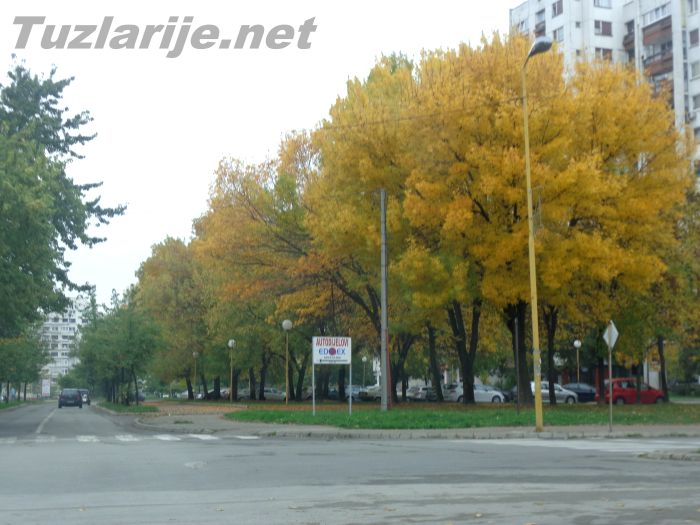 Tuzlarije