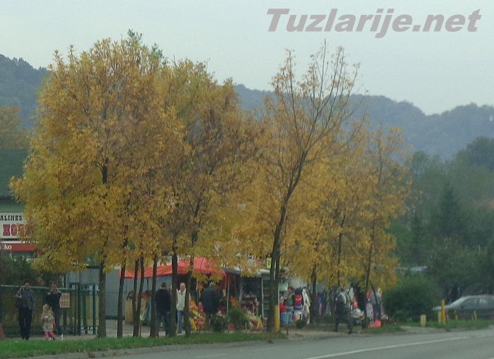 Tuzlarije
