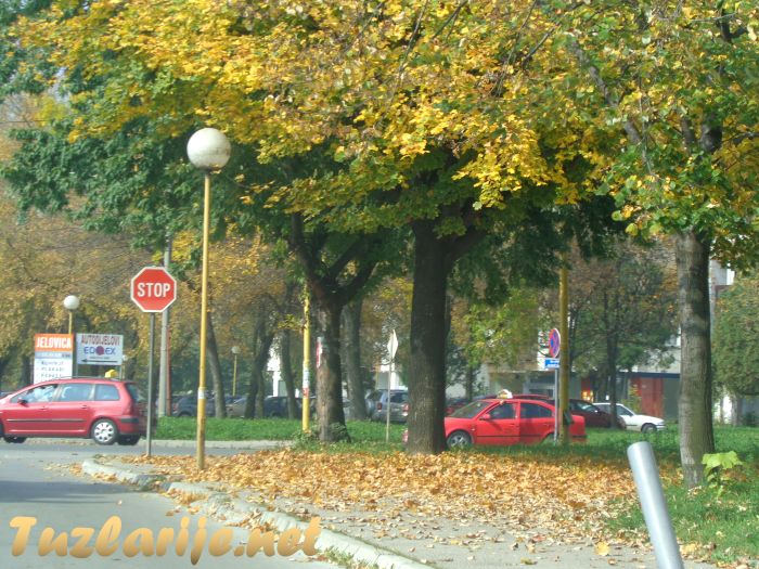 Tuzlarije