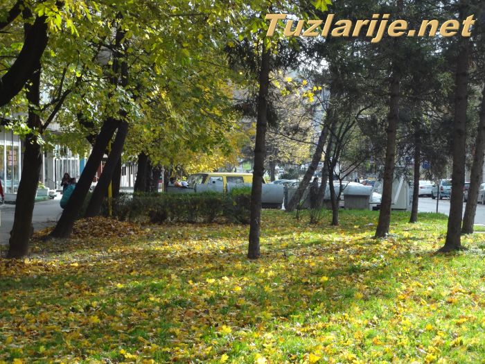 Tuzlarije