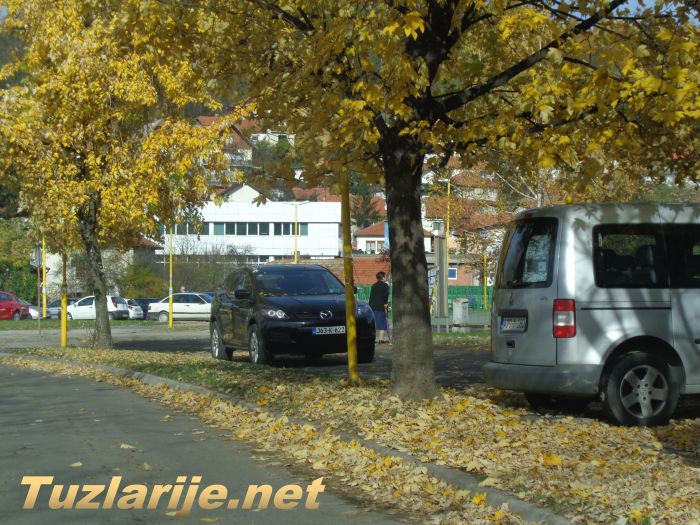 Tuzlarije
