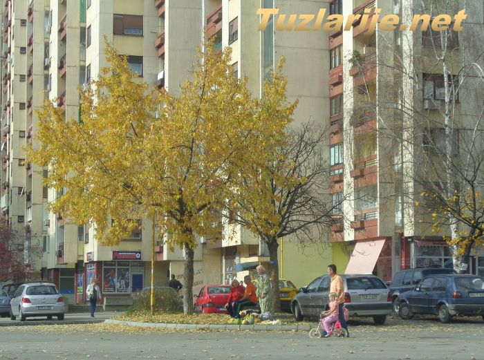 Tuzlarije