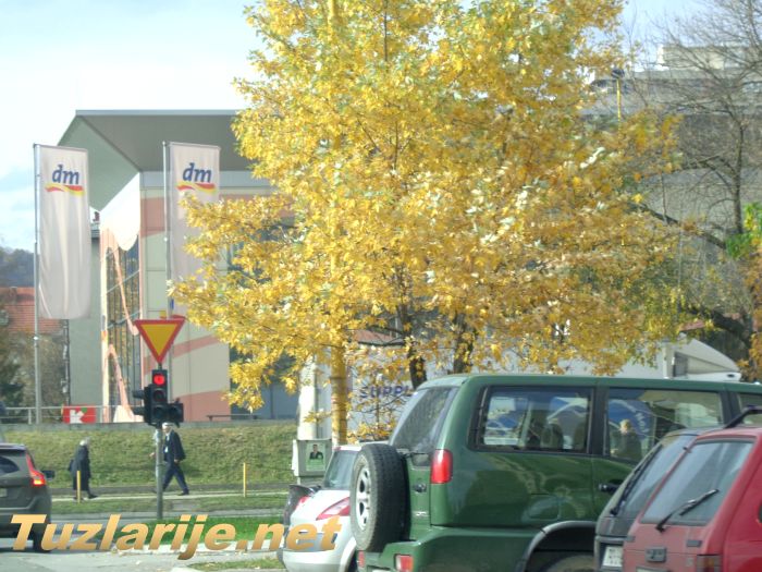 Tuzlarije