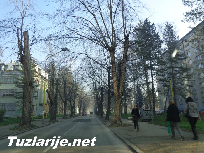 Tuzlarije
